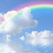 ☆Shade☆の画像