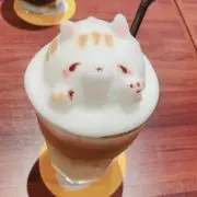 Kiyoponの画像