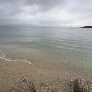 がいもんの画像