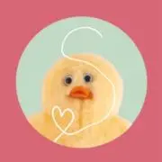 シュガー☆の画像