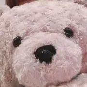 hisa(プロフ読んでください)の画像