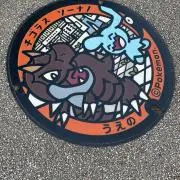 わらびの画像