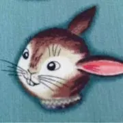 yoyo