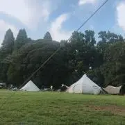 せんた