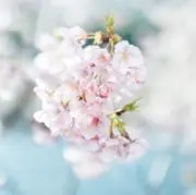 みーこ【プロフィール必読】の画像