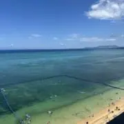 一叶の画像