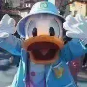 kn_a・*・の画像