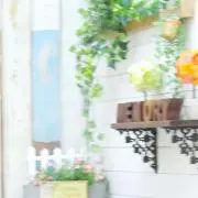 knの画像