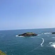Tの画像