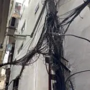 たこの画像