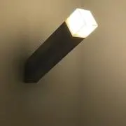 ぬいの画像