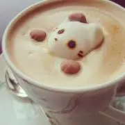 ぽむの画像