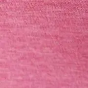 PPPの画像