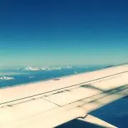 よしの画像