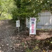ザンゾウさんの画像