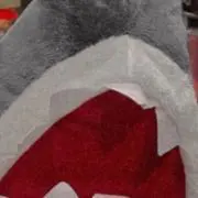 はるの画像