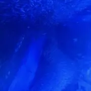 Chiroro1106の画像