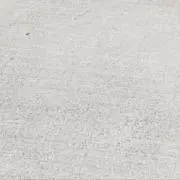 わたの画像