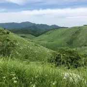 やまの画像