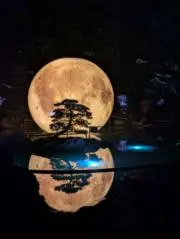 けいの画像