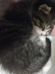 Mの画像