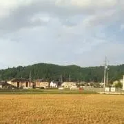 めるめるの画像