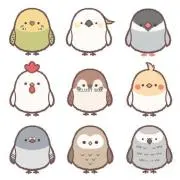 匿名配送　まとめ買い大歓迎の画像