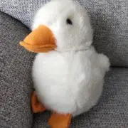 ターの画像