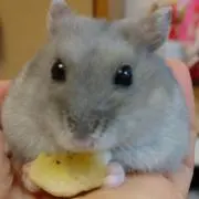 E( ￣▽￣)Rの画像