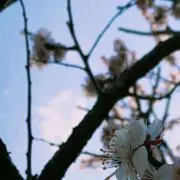 あーる プロフィール確認の画像
