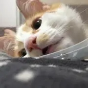ハル&ナツ