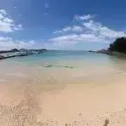 G❤︎即購入大歓迎！の画像