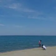 グラコロの画像
