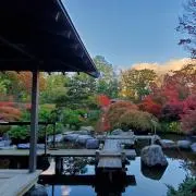 shの画像