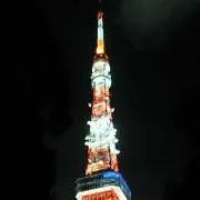 フェリスの画像