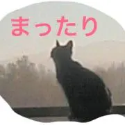 ともの画像