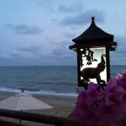たなーかの画像