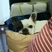 みっちゃん