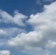 Naaaaの画像