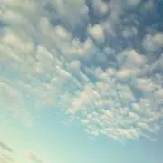 ＊MEI＊の画像
