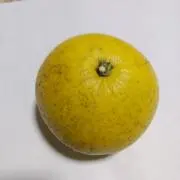 八朔の画像