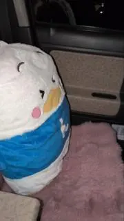 たまてばこさんの画像