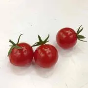 SYOの画像