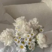 ☆の画像