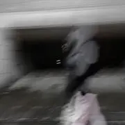Nyの画像