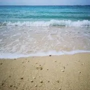Hiraの画像