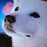 wansukeの画像