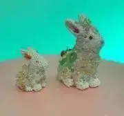 コンタックの画像