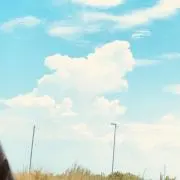シロシロの画像