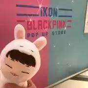 ikon_bobby1221の画像